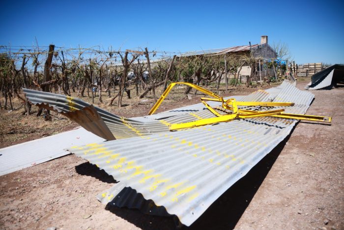 Foto: gentileza del Mnisterio de Producción del gobierno de Mendoza.